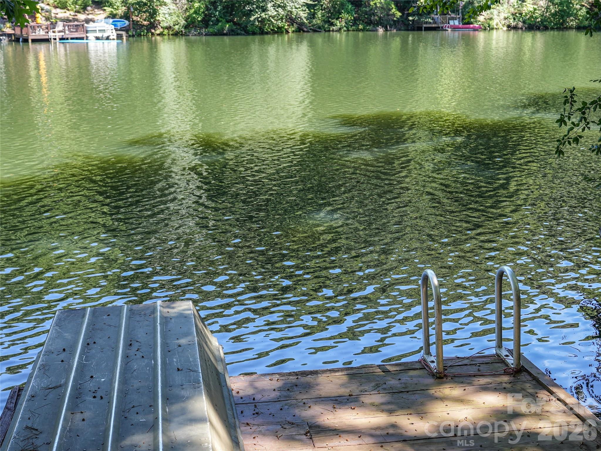 222 West Lake Drive N Lake Lure NC 28746