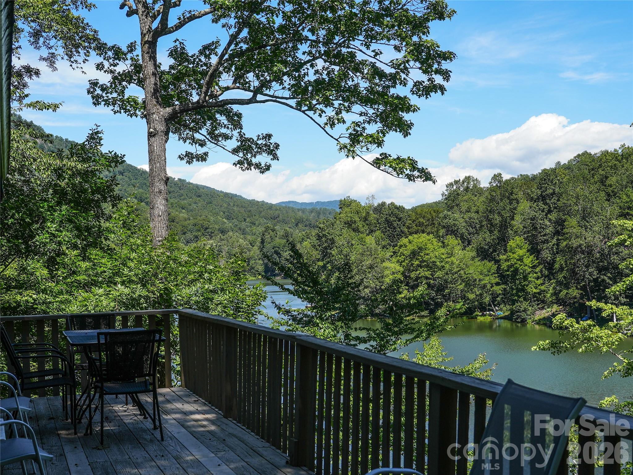 222 West Lake Drive N Lake Lure NC 28746