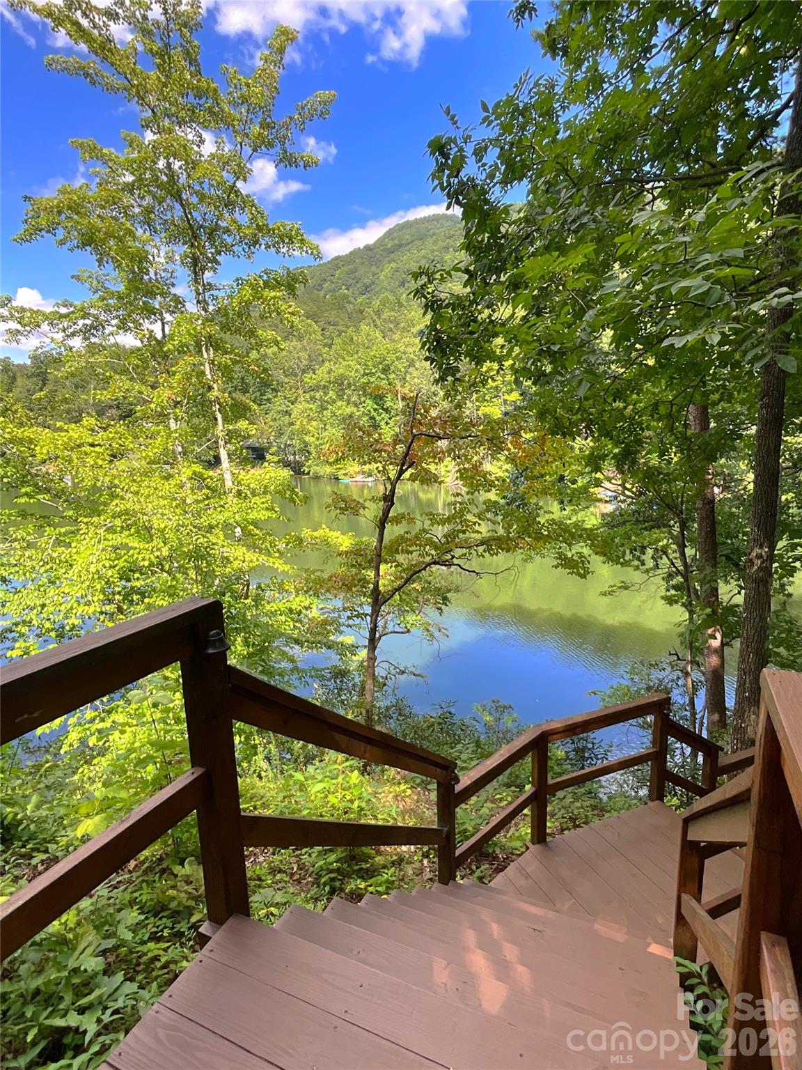 222 West Lake Drive N Lake Lure NC 28746