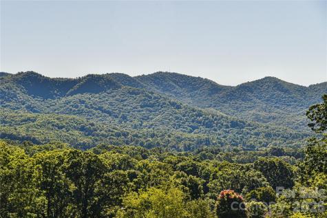 3 Leeds Lane Black Mountain NC 28711