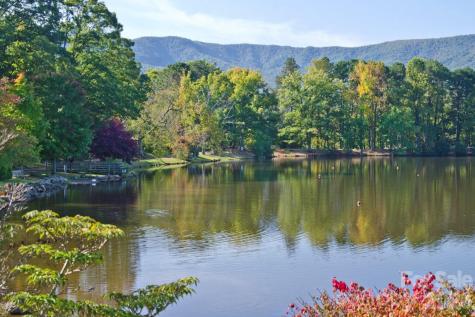 3 Leeds Lane Black Mountain NC 28711
