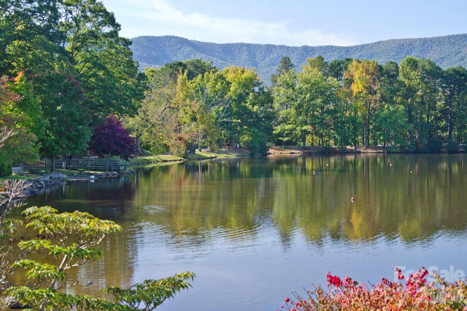 3 Leeds Lane Black Mountain NC 28711