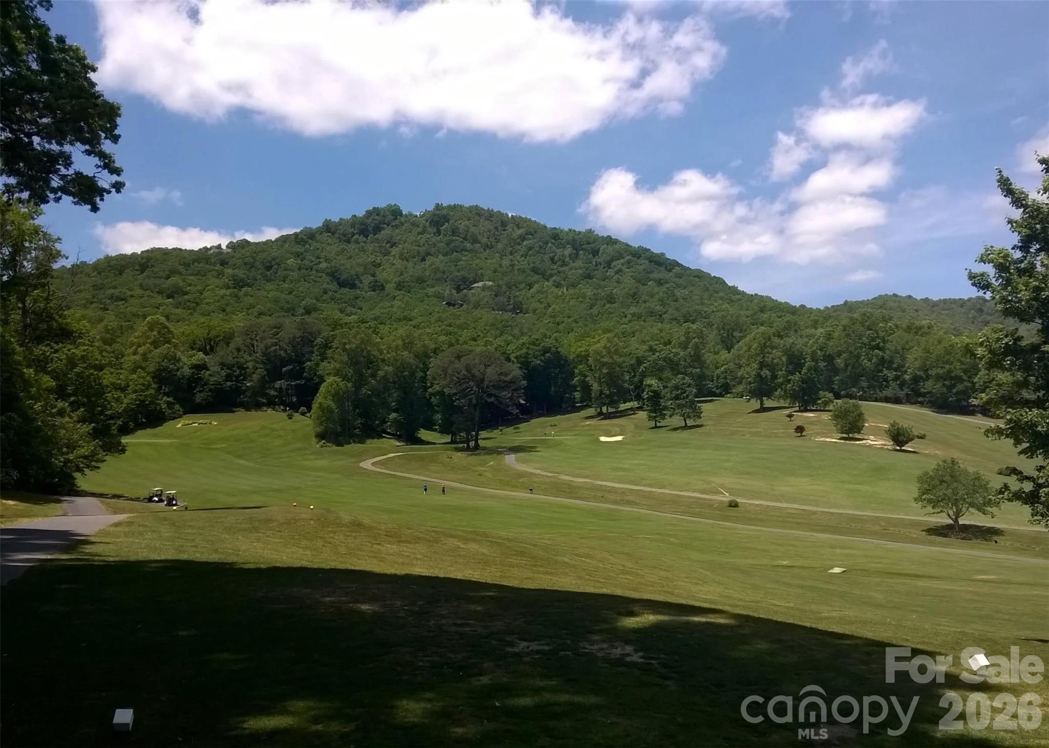 3 Leeds Lane Black Mountain NC 28711