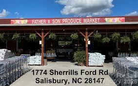153 Trinity Court Salisbury NC 28147