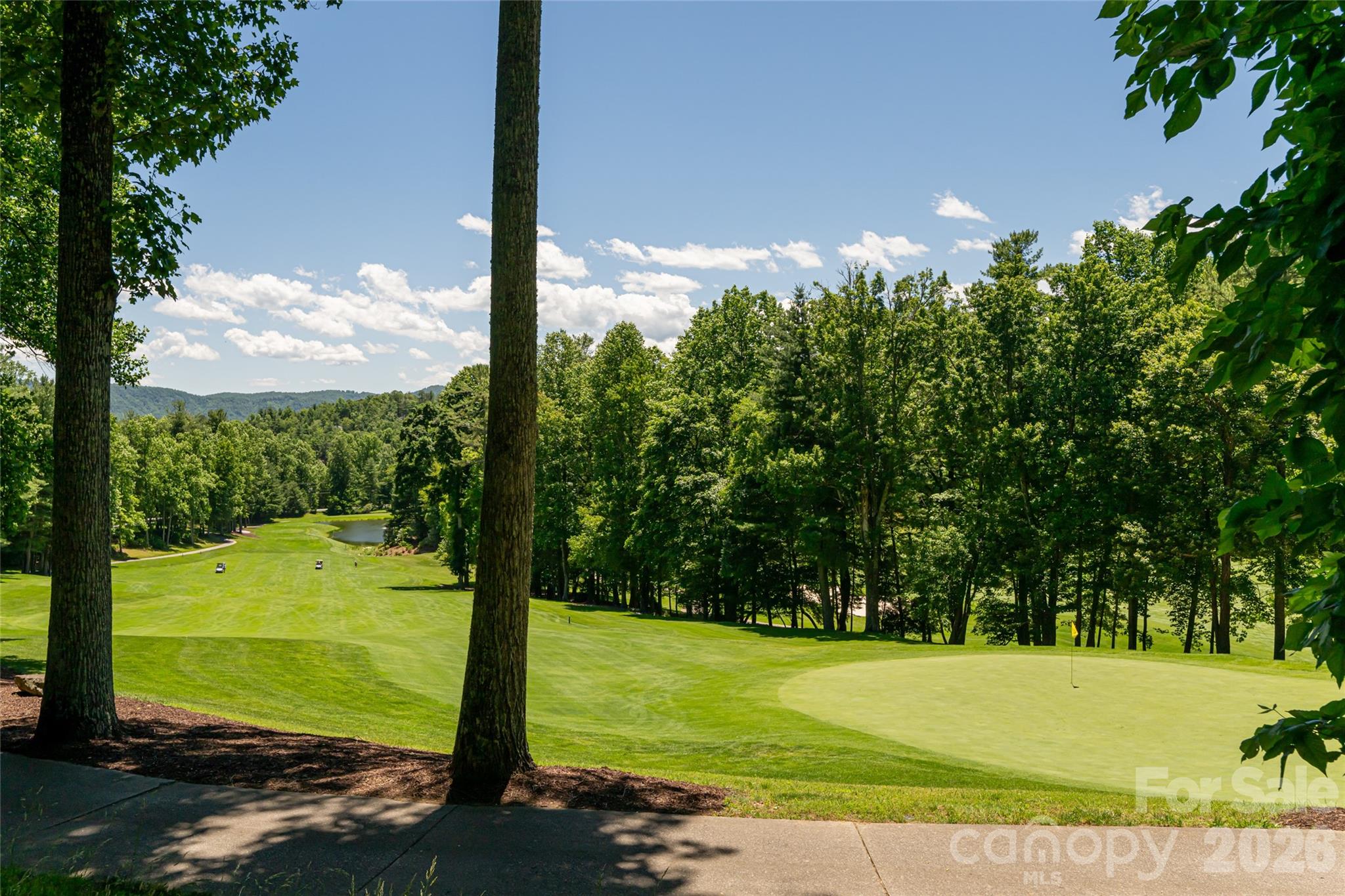 109 Little Cherokee Ridge Hendersonville NC 28739