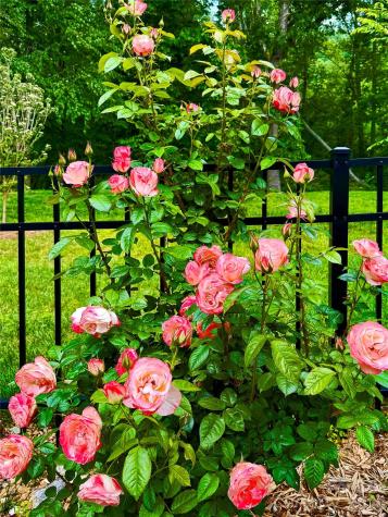 31 Cozy Cottage Way Arden NC 28704