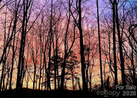 31 Cozy Cottage Way Arden NC 28704