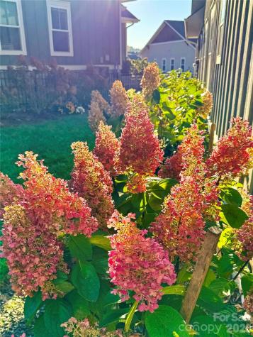 31 Cozy Cottage Way Arden NC 28704