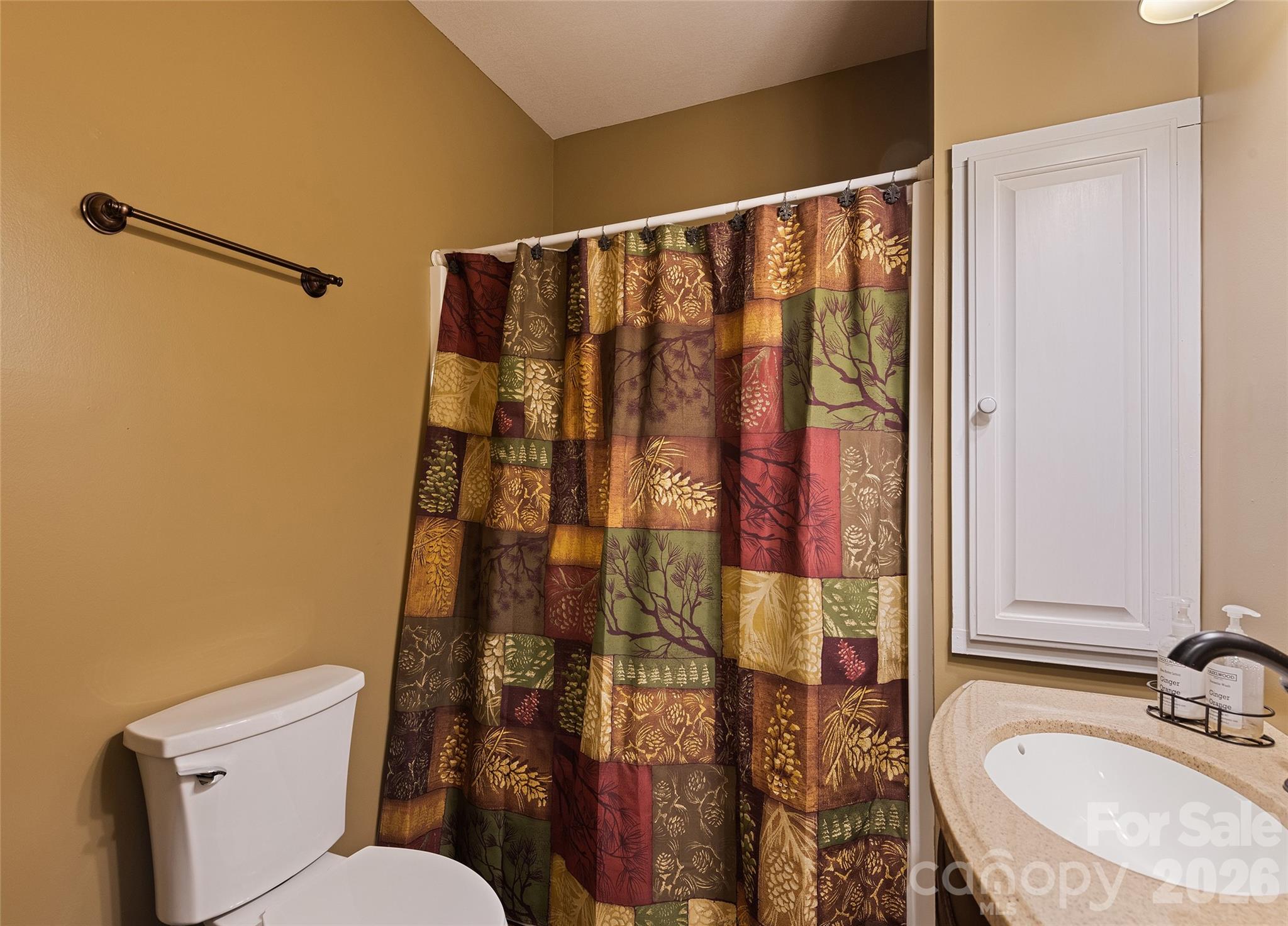 72 Tadpole Lane Waynesville NC 28785