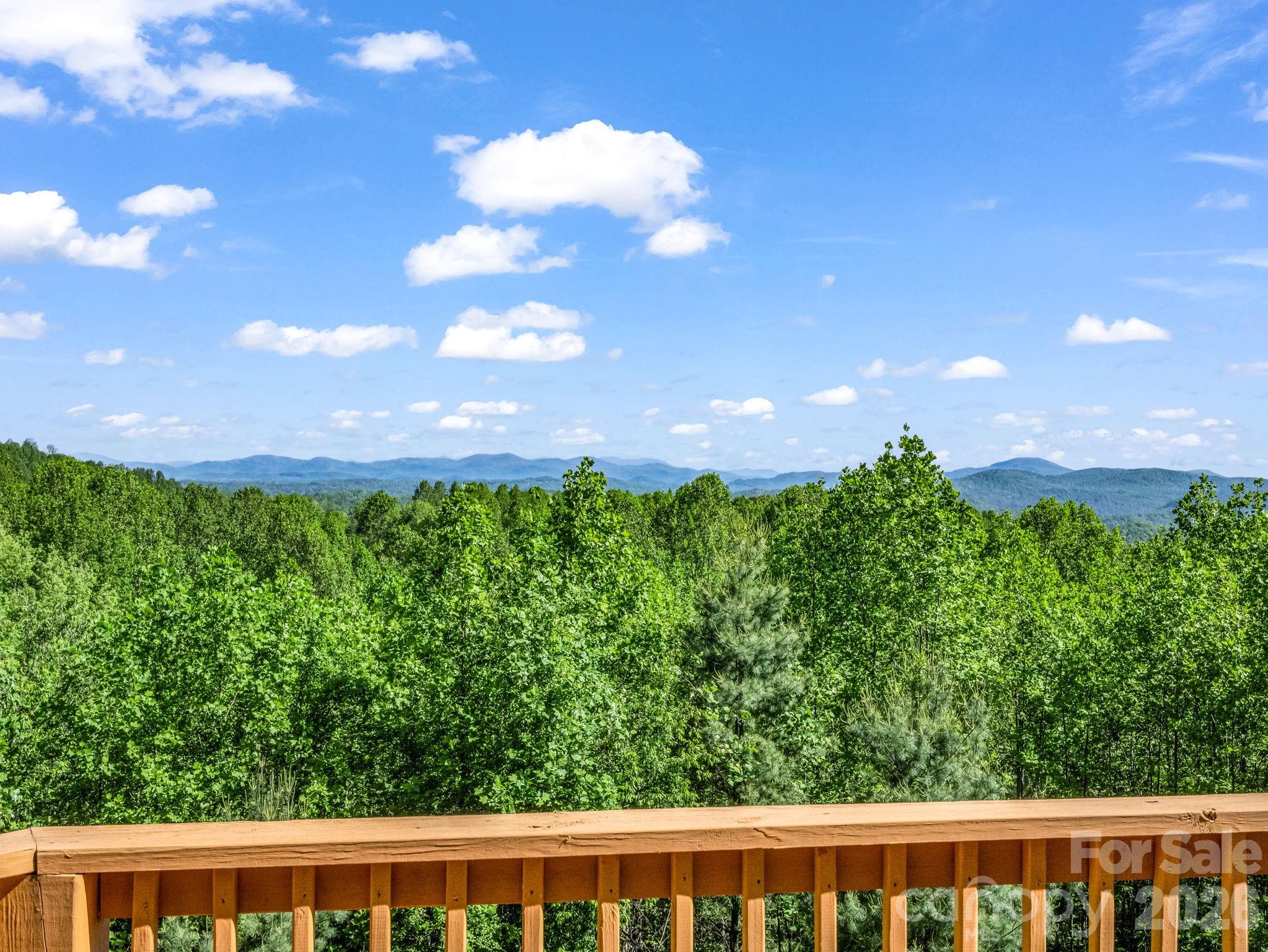 603 Pace Mountain Road Saluda NC 28773