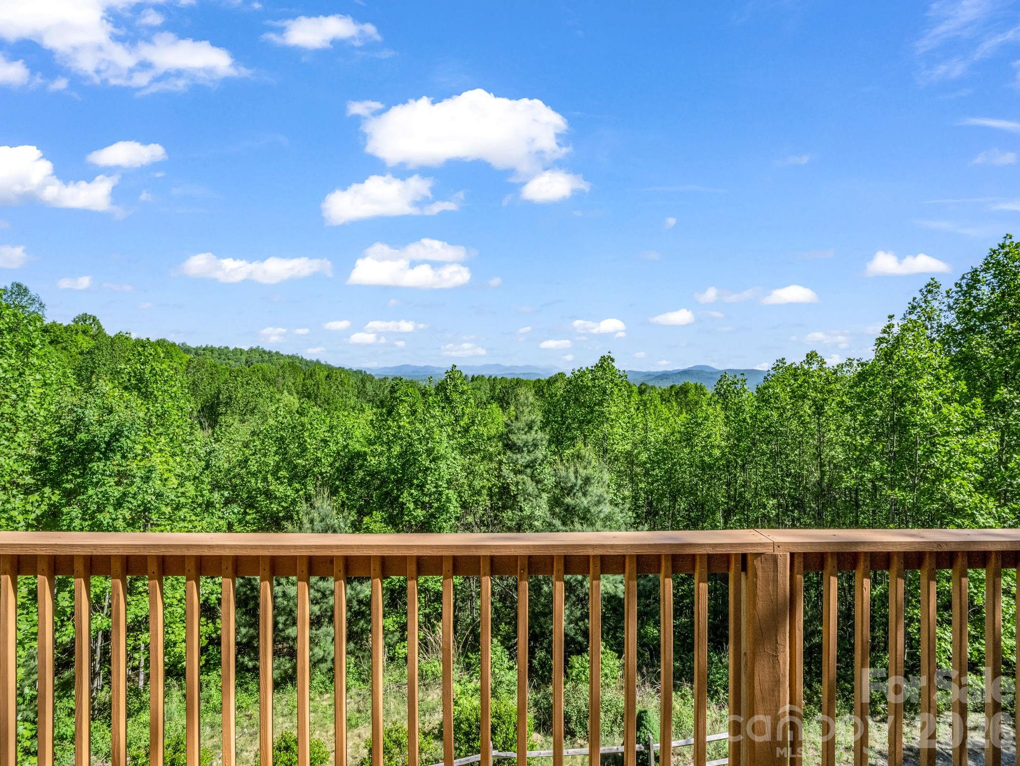 603 Pace Mountain Road Saluda NC 28773