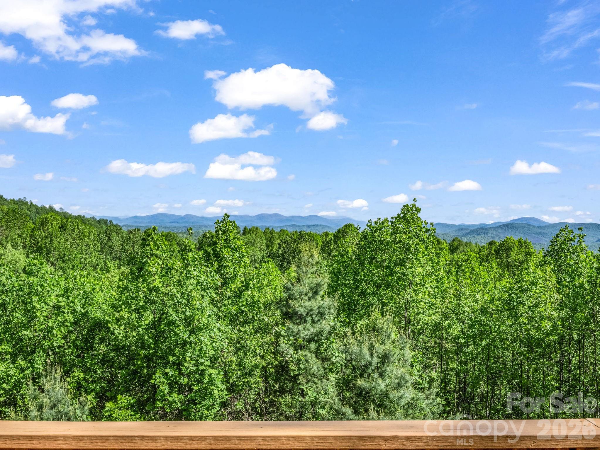 603 Pace Mountain Road Saluda NC 28773