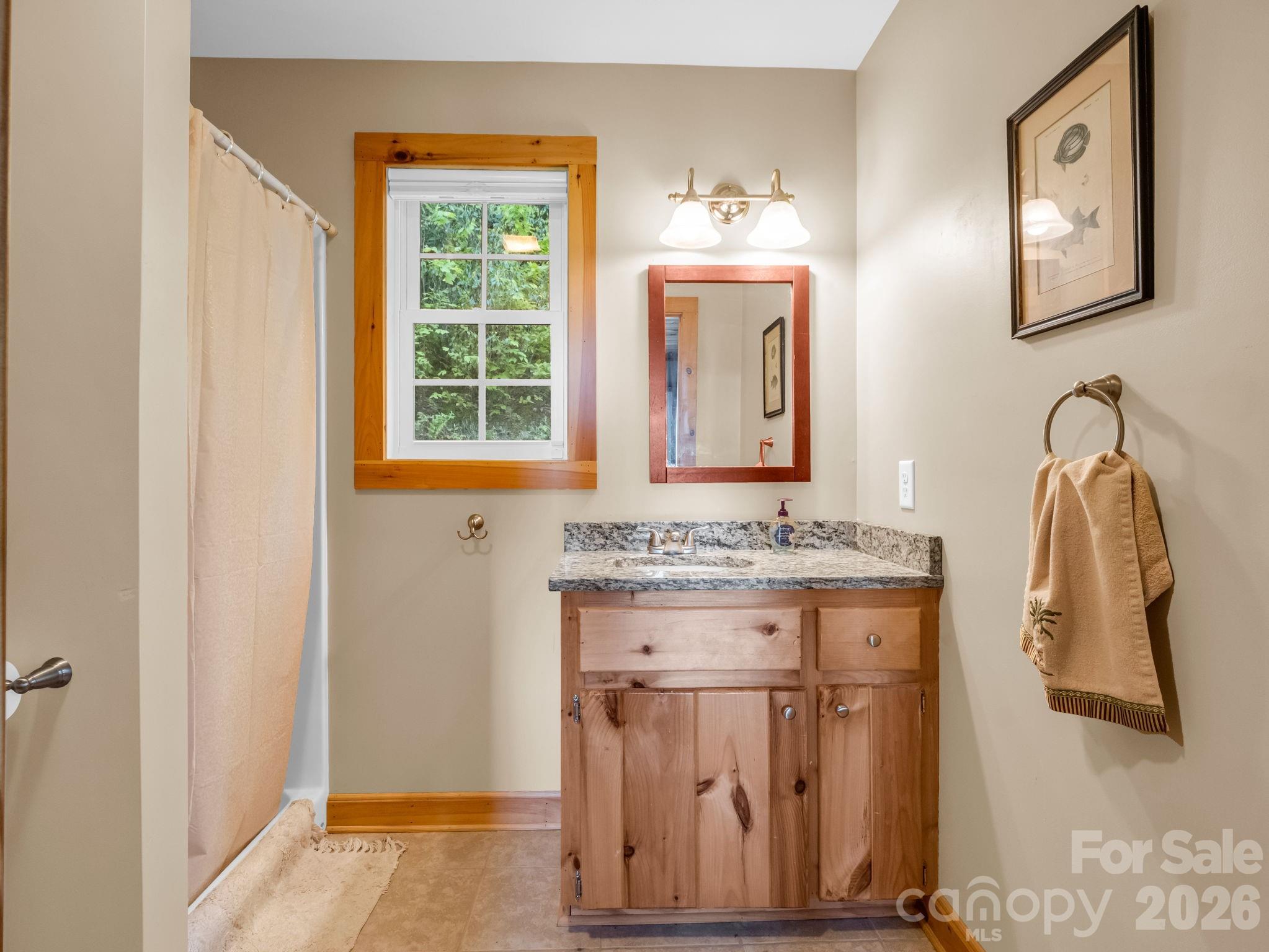 603 Pace Mountain Road Saluda NC 28773
