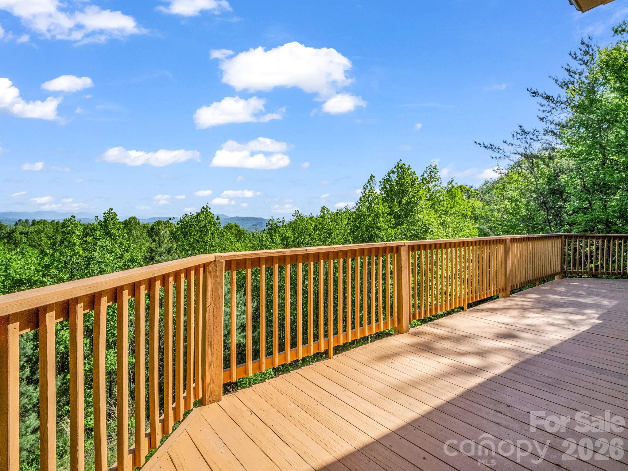 603 Pace Mountain Road Saluda NC 28773