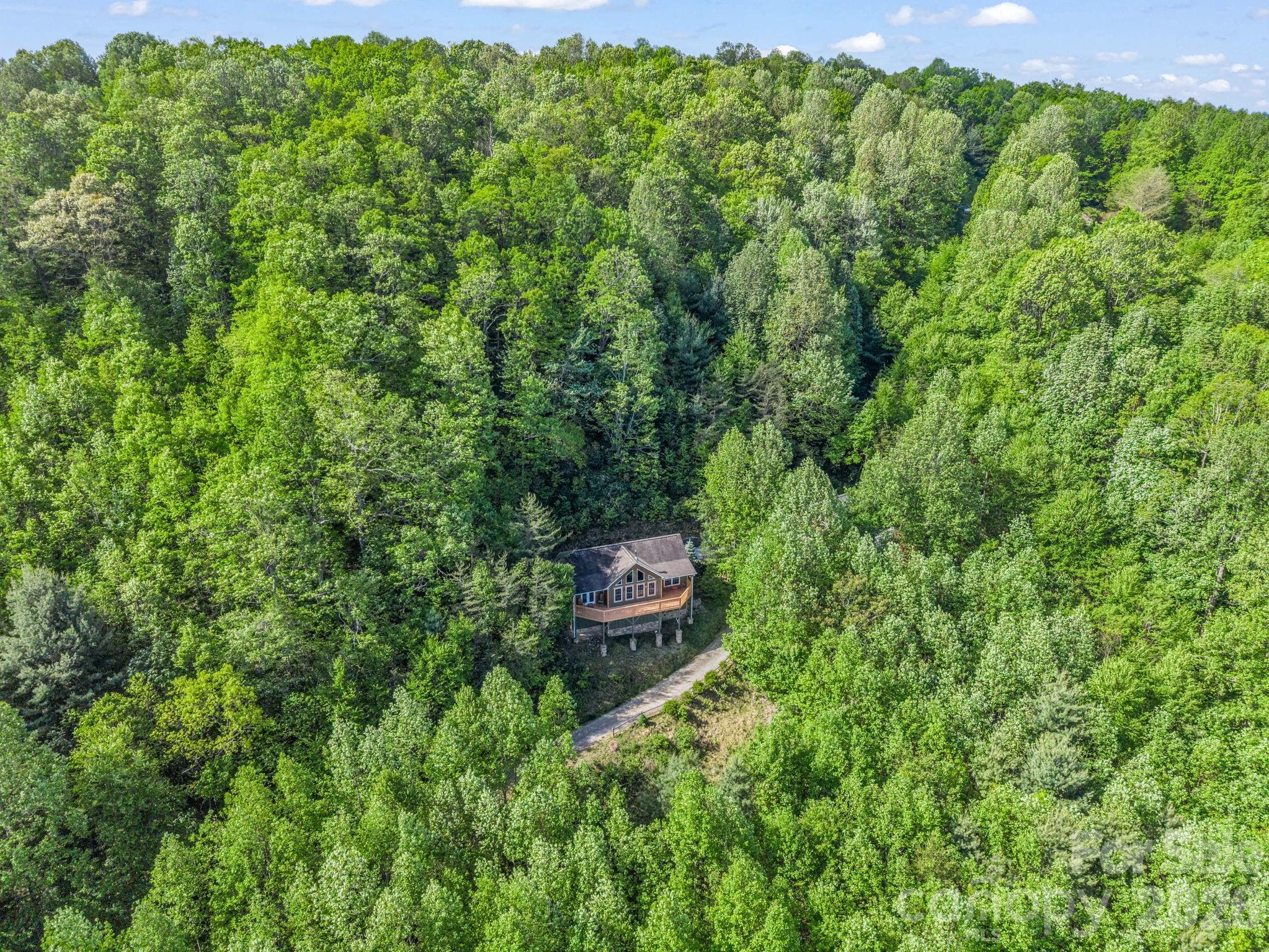 603 Pace Mountain Road Saluda NC 28773