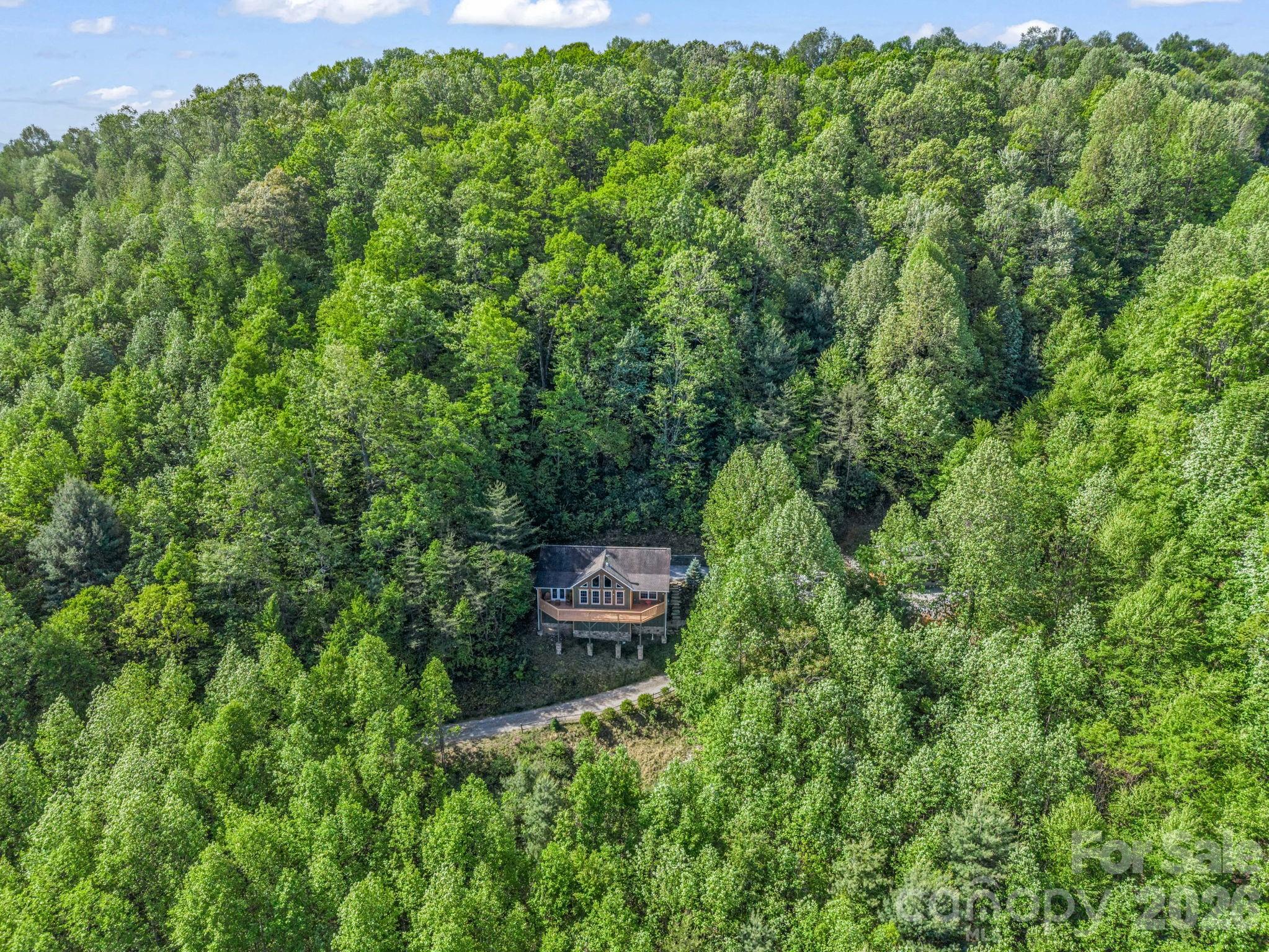 603 Pace Mountain Road Saluda NC 28773