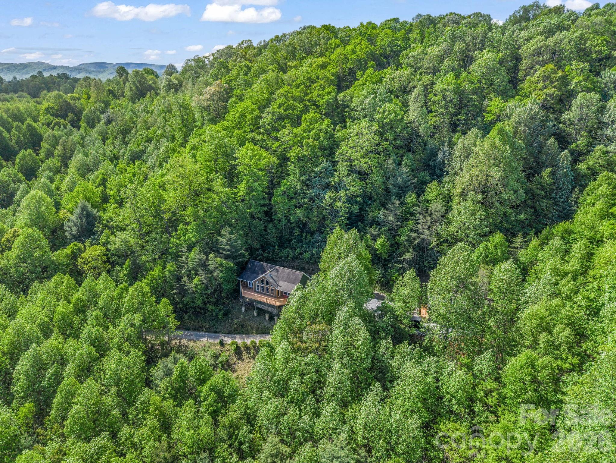 603 Pace Mountain Road Saluda NC 28773