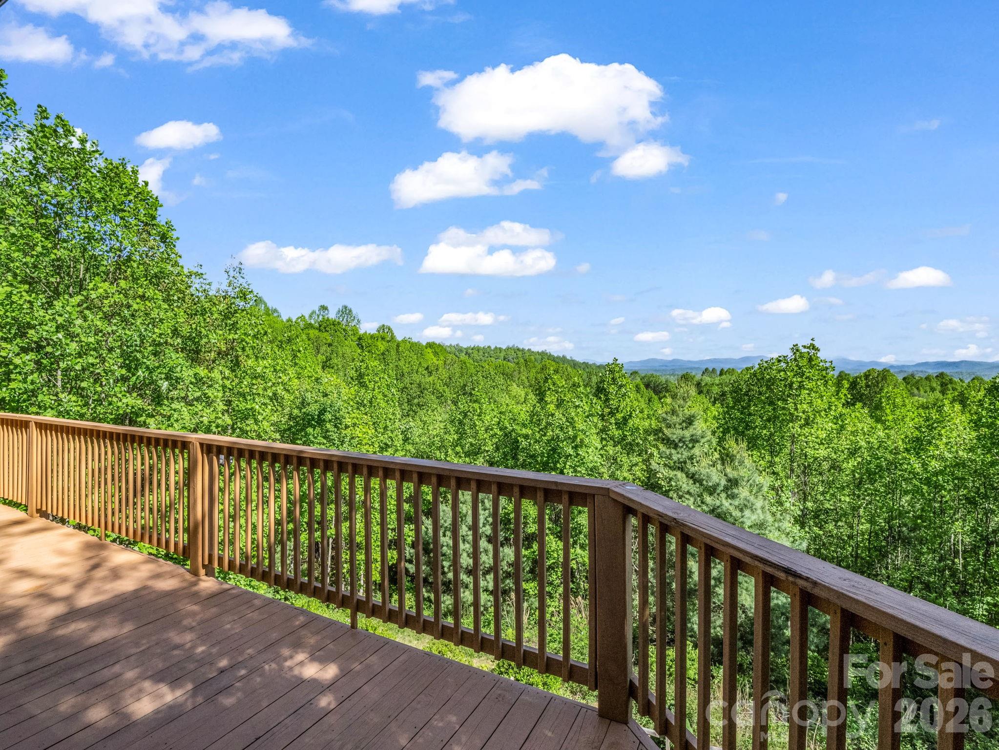 603 Pace Mountain Road Saluda NC 28773