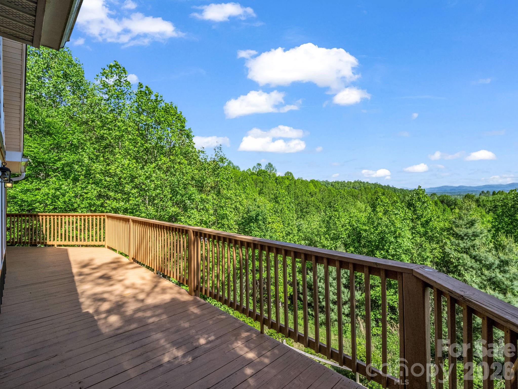 603 Pace Mountain Road Saluda NC 28773