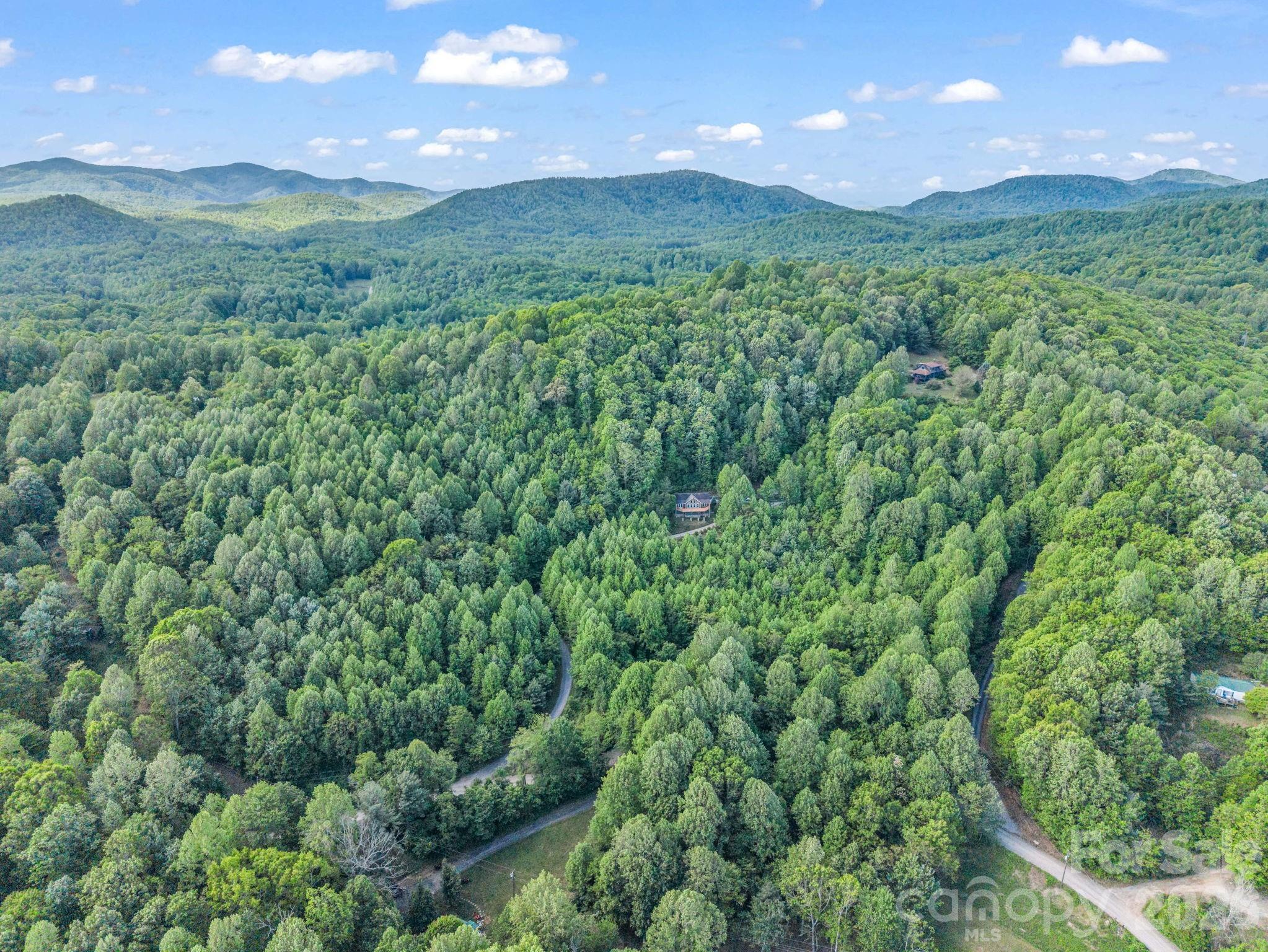 603 Pace Mountain Road Saluda NC 28773