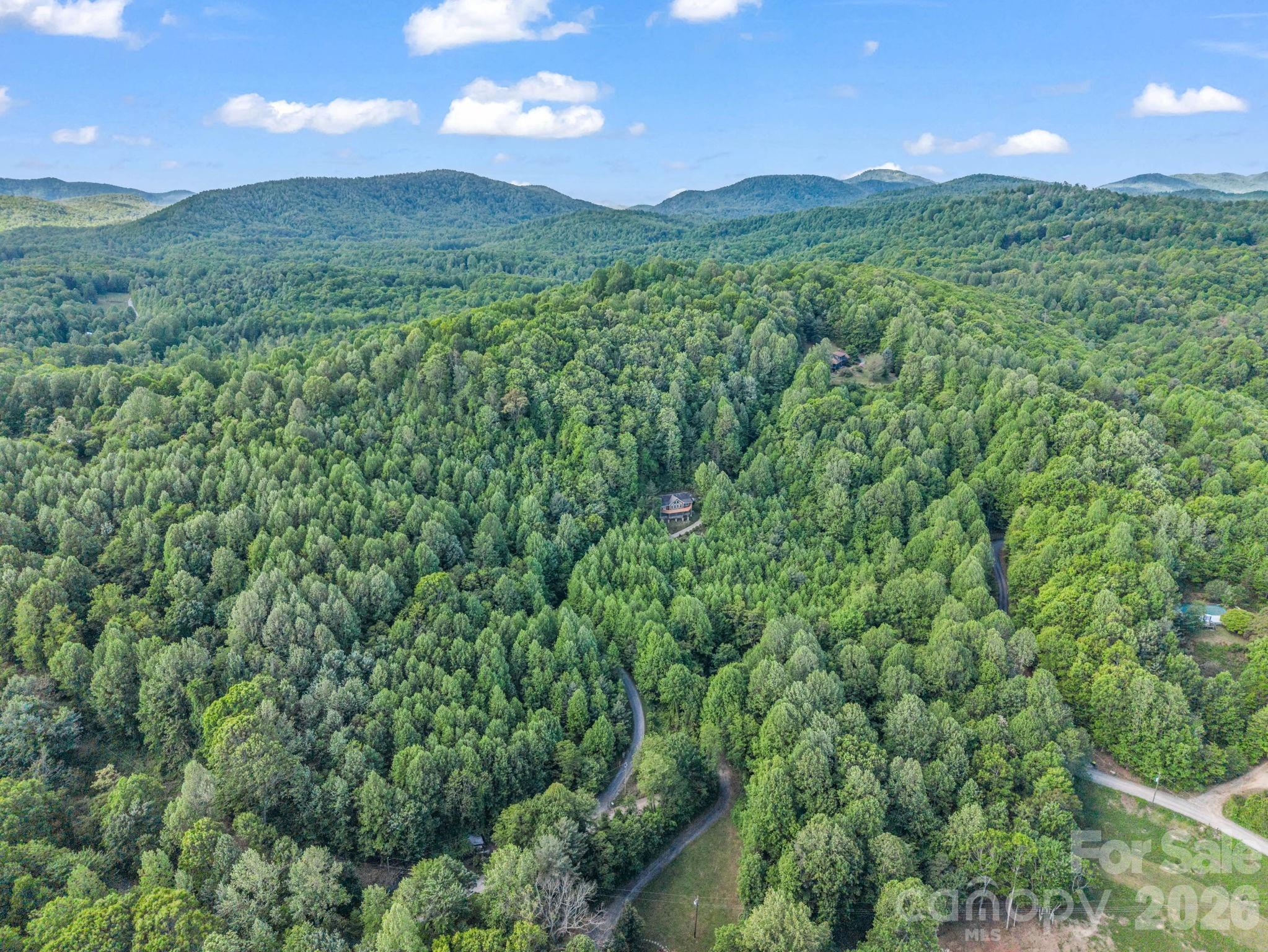 603 Pace Mountain Road Saluda NC 28773