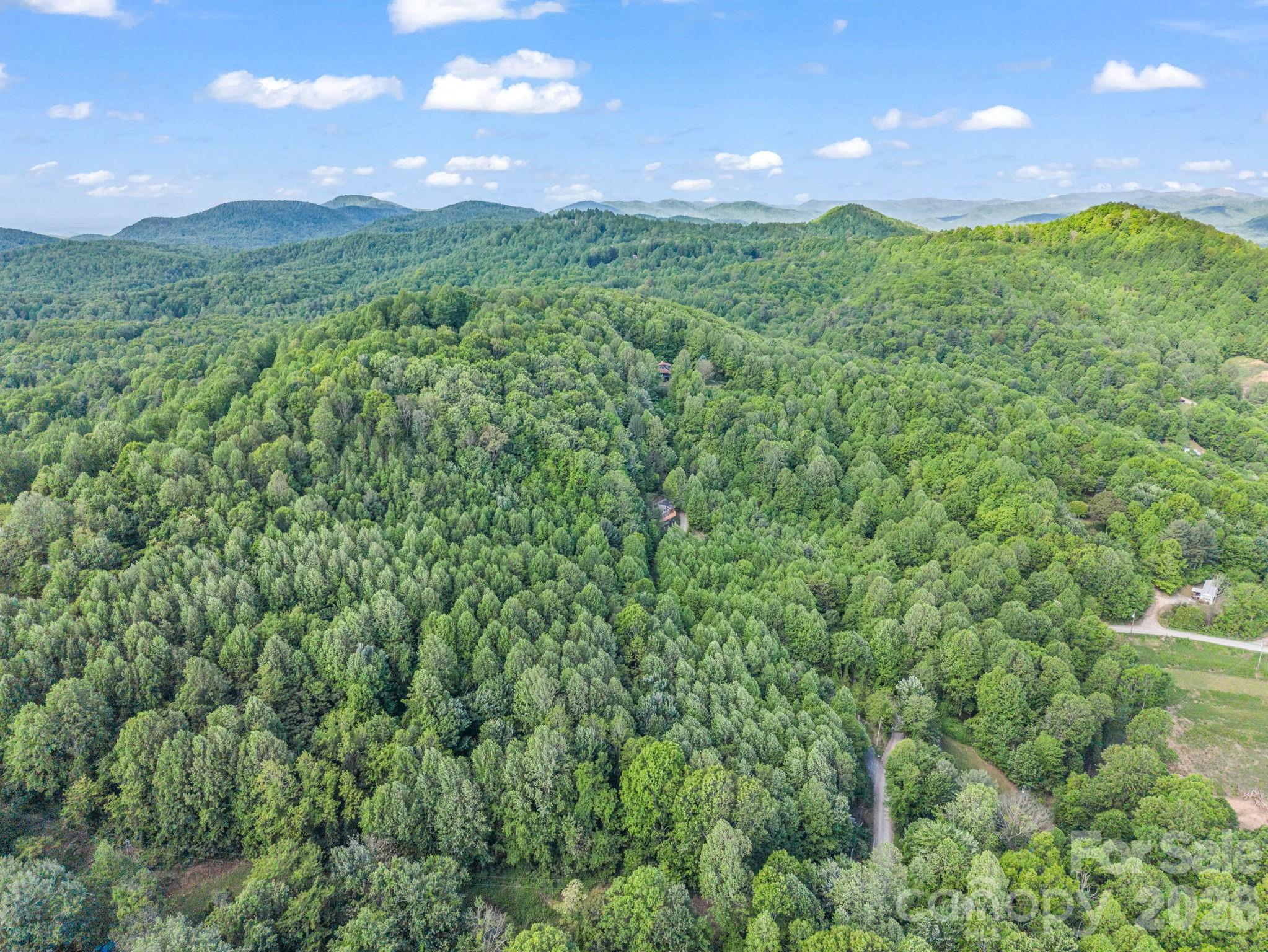 603 Pace Mountain Road Saluda NC 28773