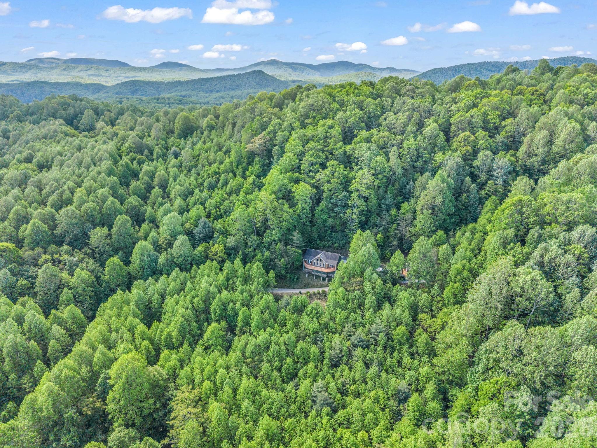 603 Pace Mountain Road Saluda NC 28773