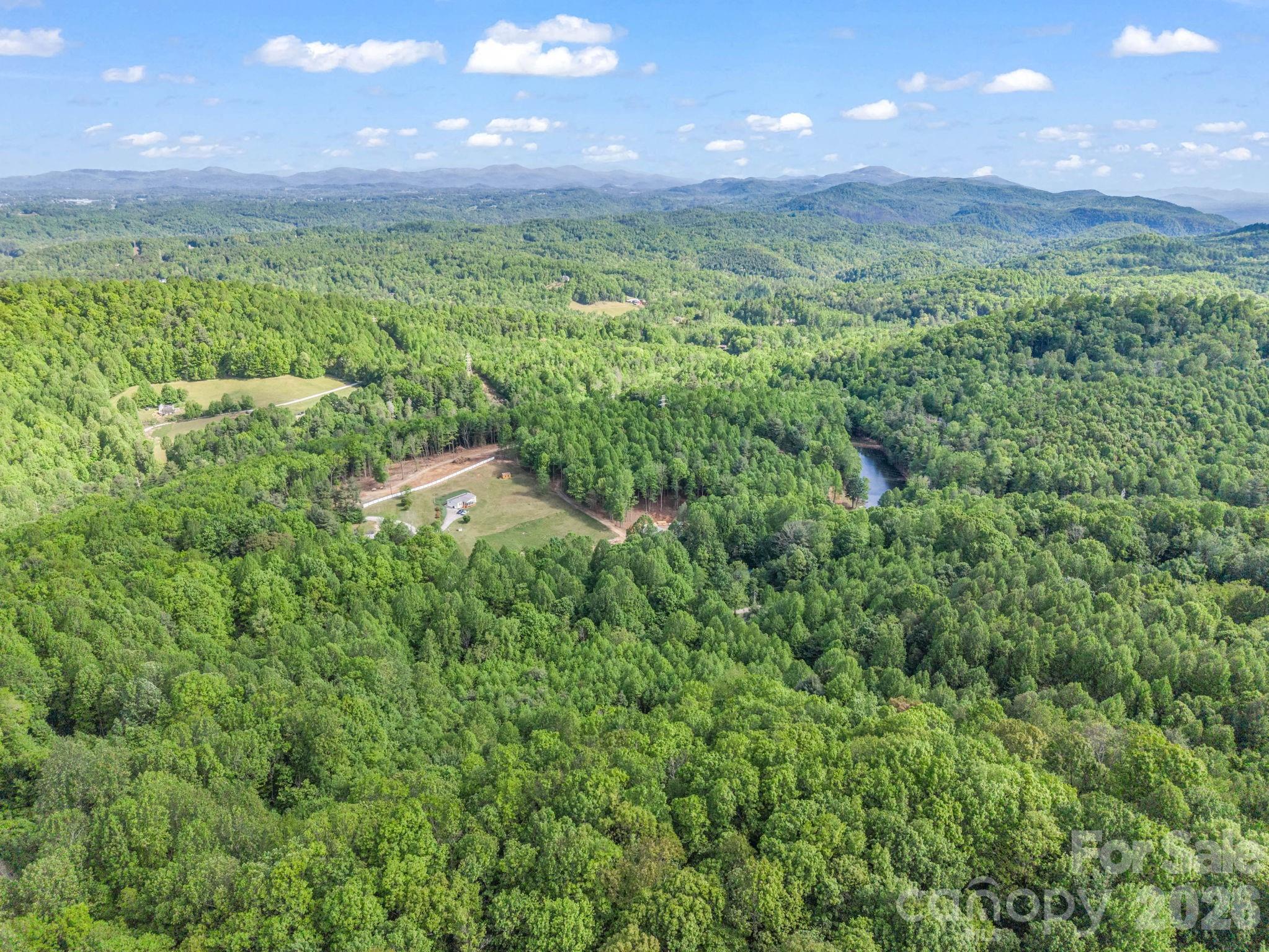 603 Pace Mountain Road Saluda NC 28773
