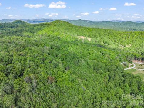 603 Pace Mountain Road Saluda NC 28773