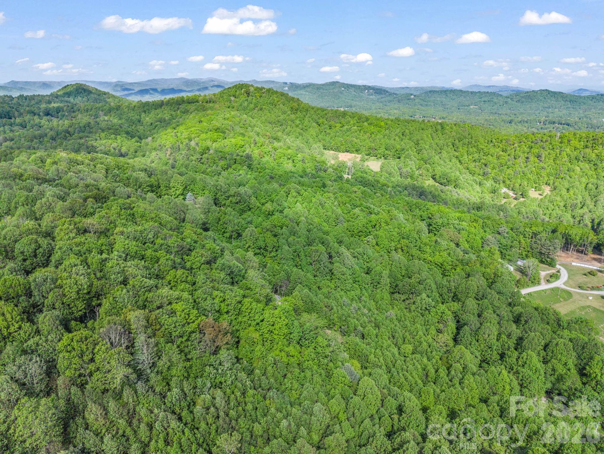 603 Pace Mountain Road Saluda NC 28773