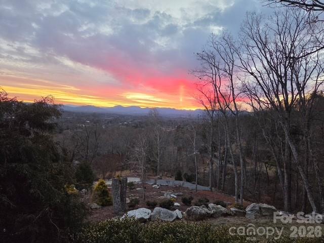 112 Hamburg Mountain Road Weaverville NC 28787
