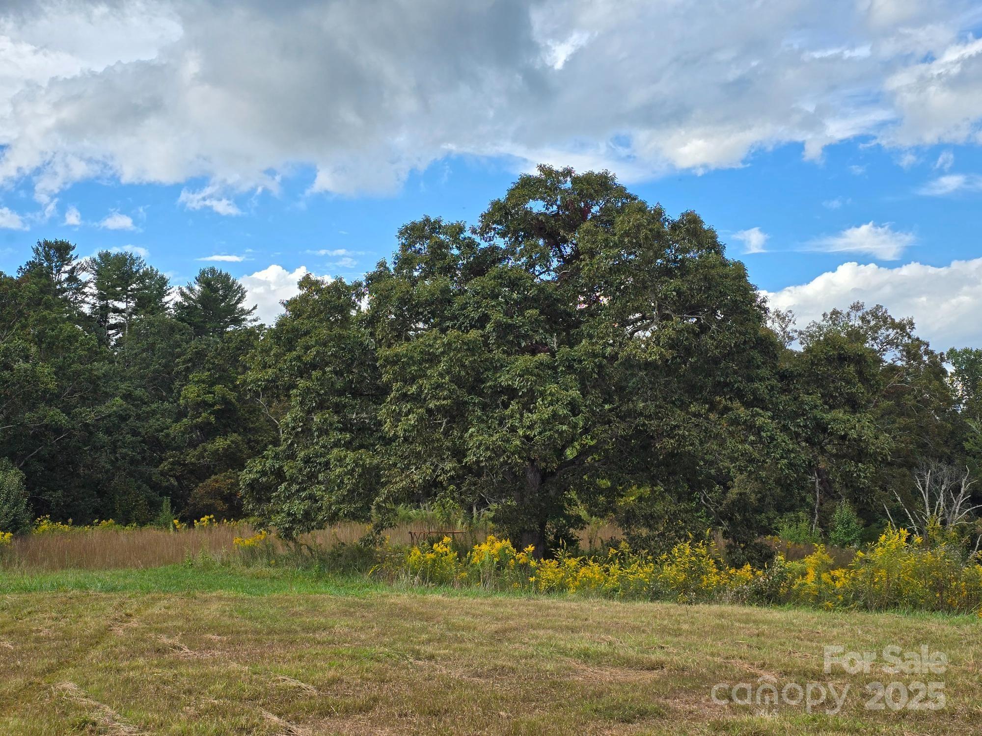 128 Cook Lane Mills River NC 28759