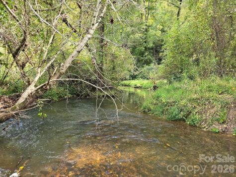 128 Cook Lane Mills River NC 28759