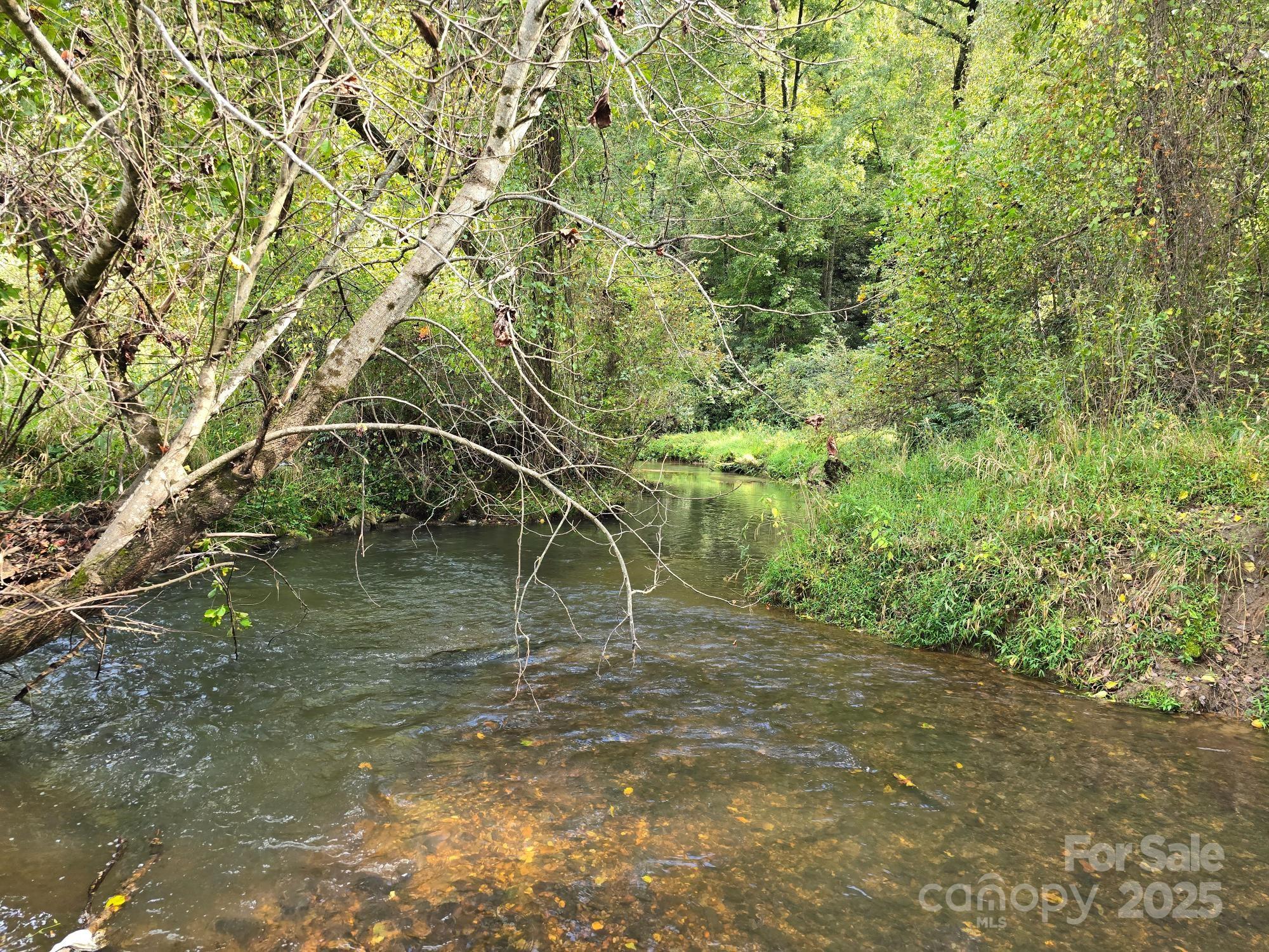 128 Cook Lane Mills River NC 28759