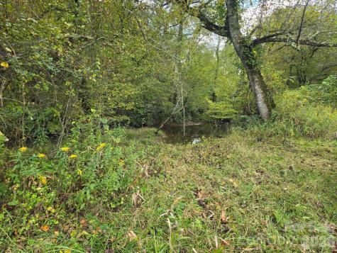 128 Cook Lane Mills River NC 28759