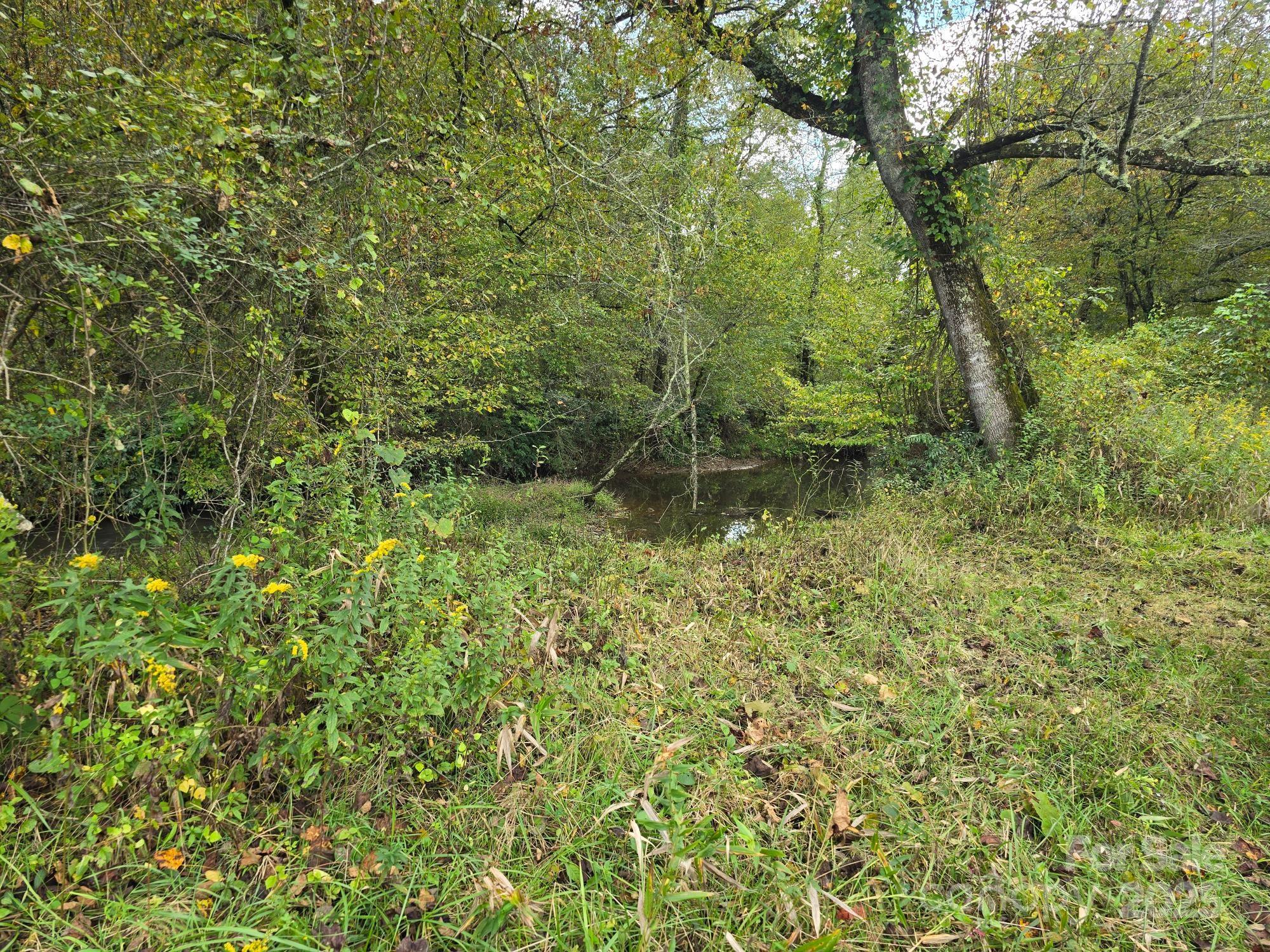 128 Cook Lane Mills River NC 28759