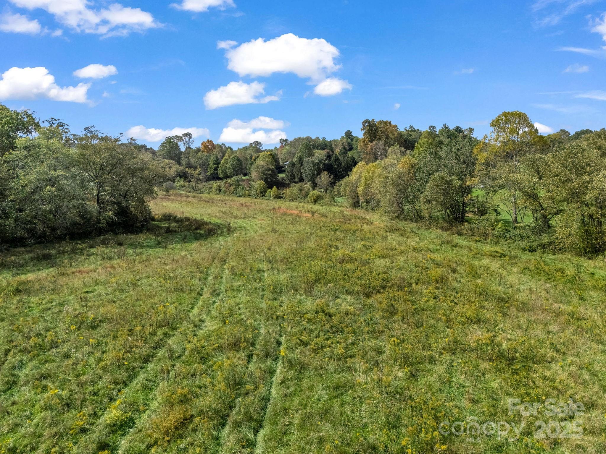 128 Cook Lane Mills River NC 28759