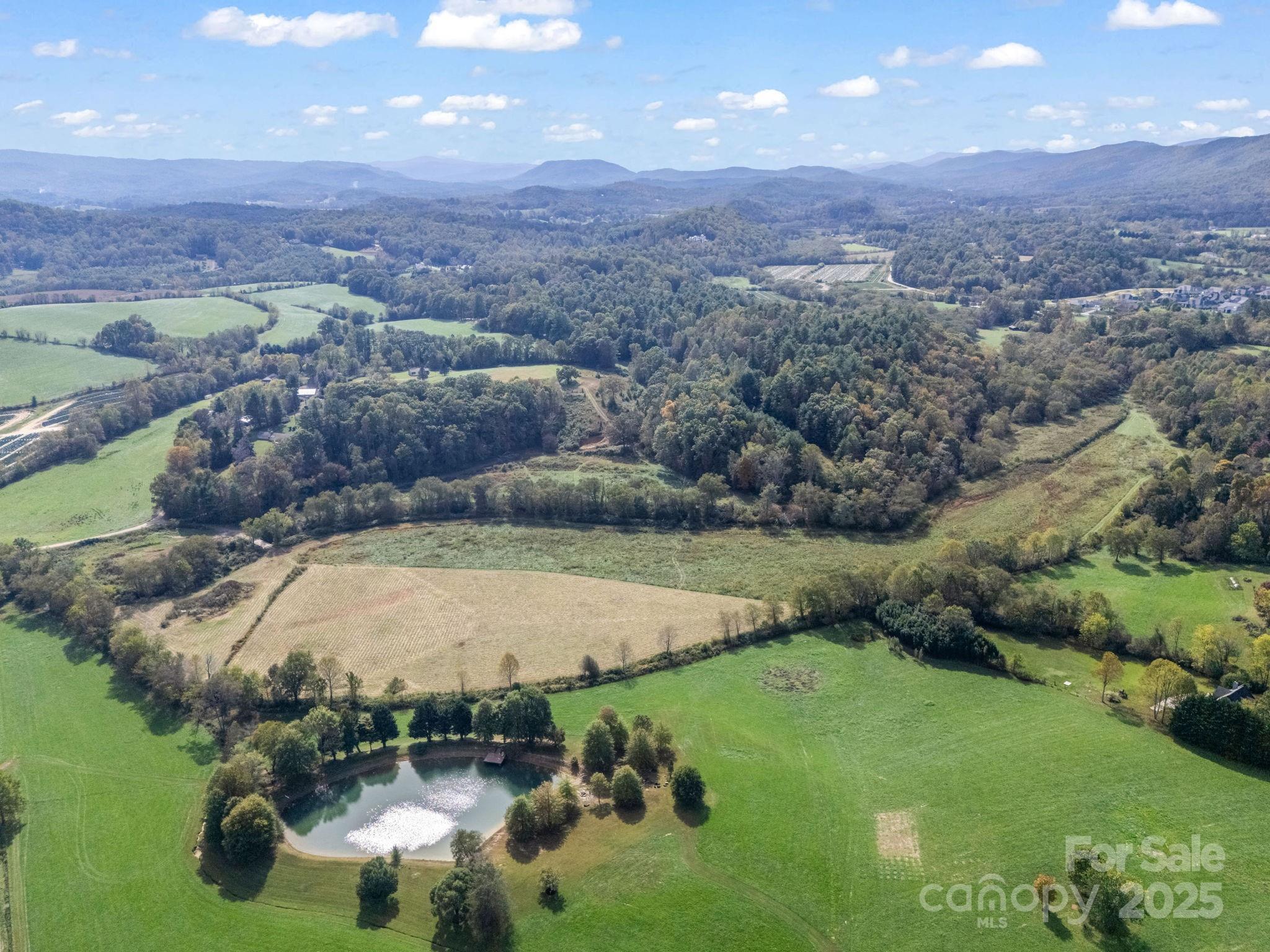 128 Cook Lane Mills River NC 28759