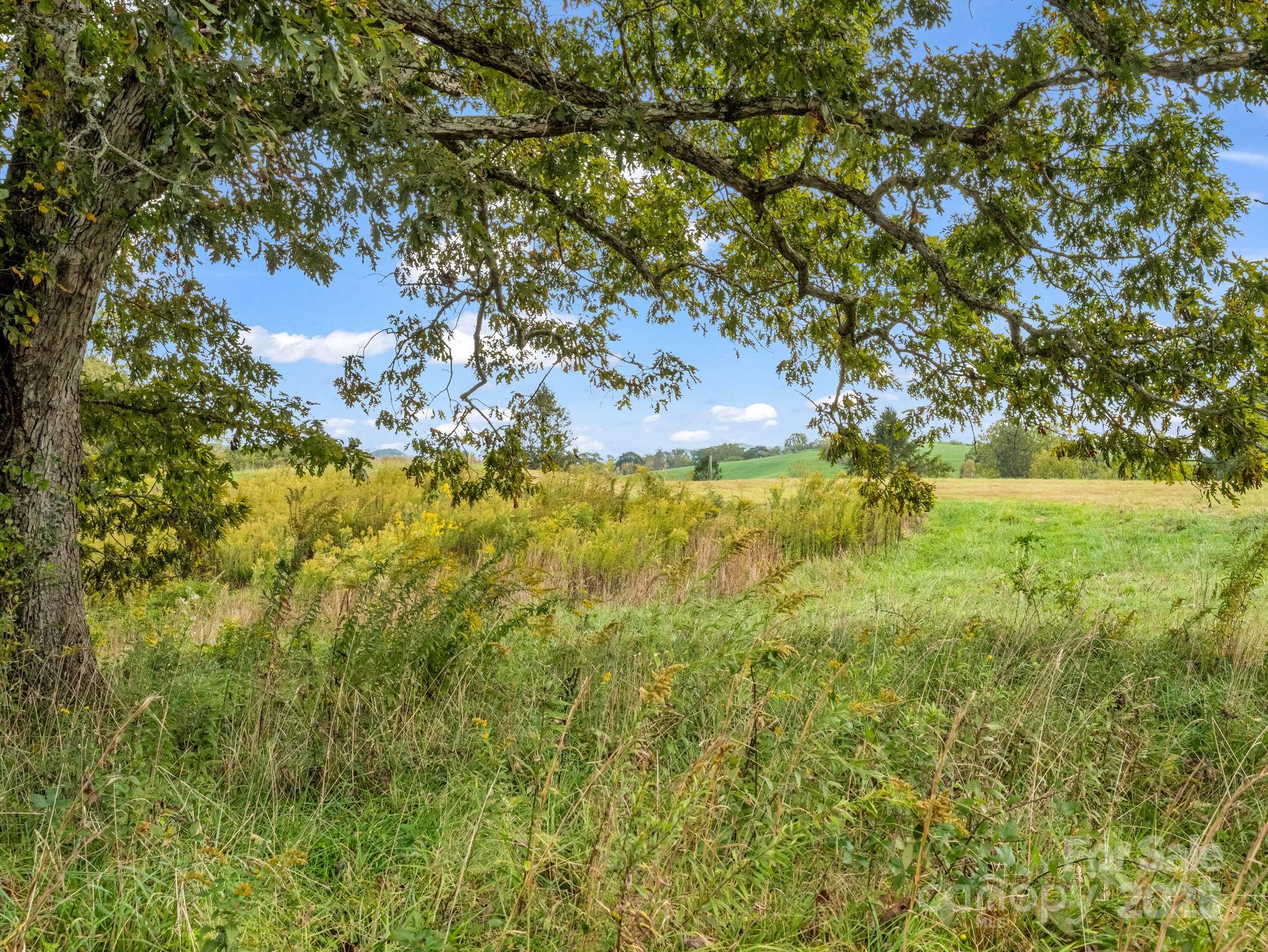 128 Cook Lane Mills River NC 28759