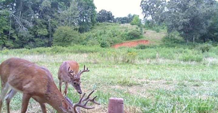 128 Cook Lane Mills River NC 28759