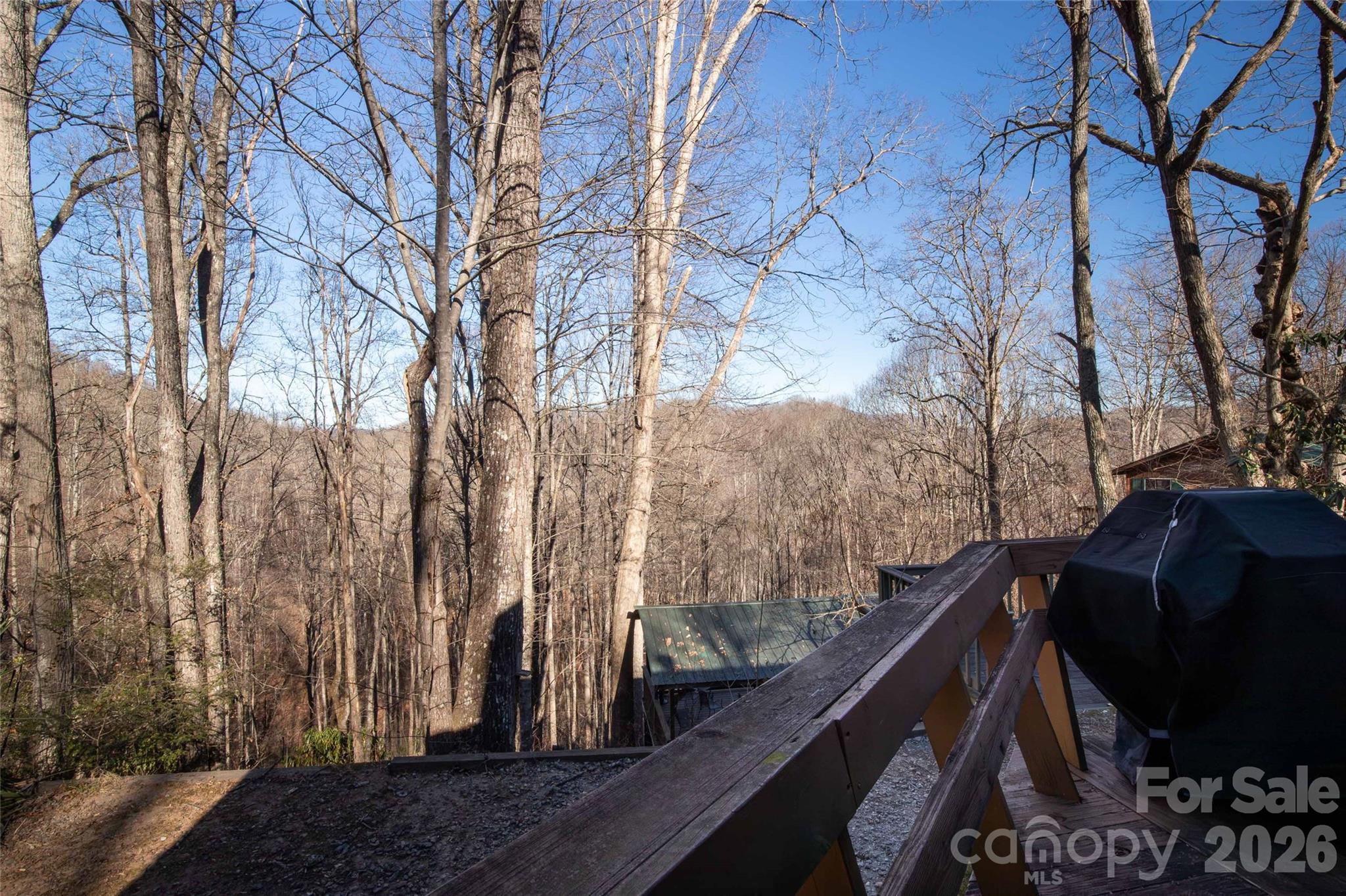 244 Grindstone Knob Road Whittier NC 28789
