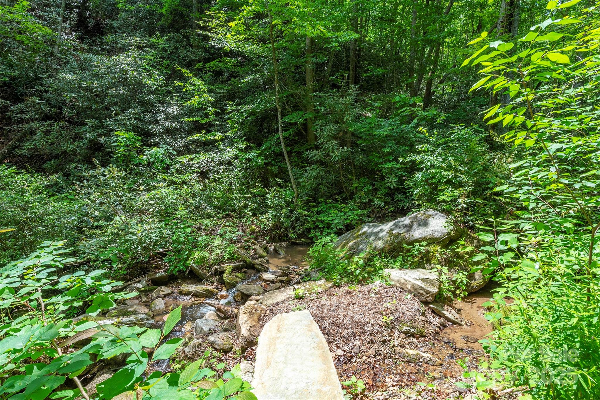 401 Winterle Road Lake Lure NC 28746