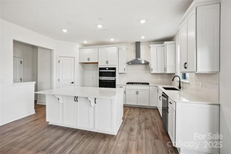 1007 High Bluff Point SE Waxhaw NC 28173