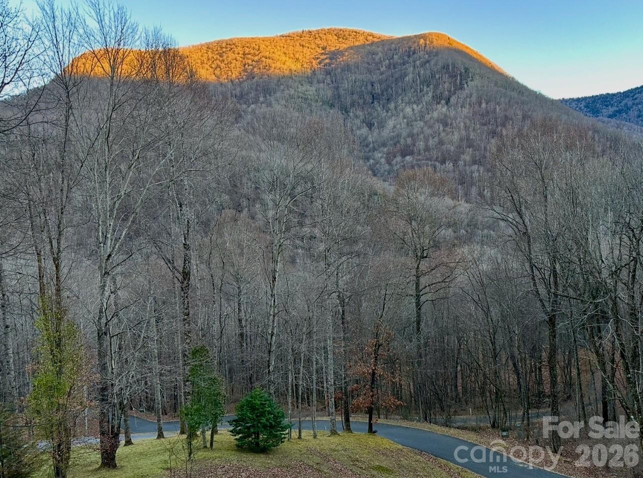 302 Davy Crockett Drive Maggie Valley NC 28751