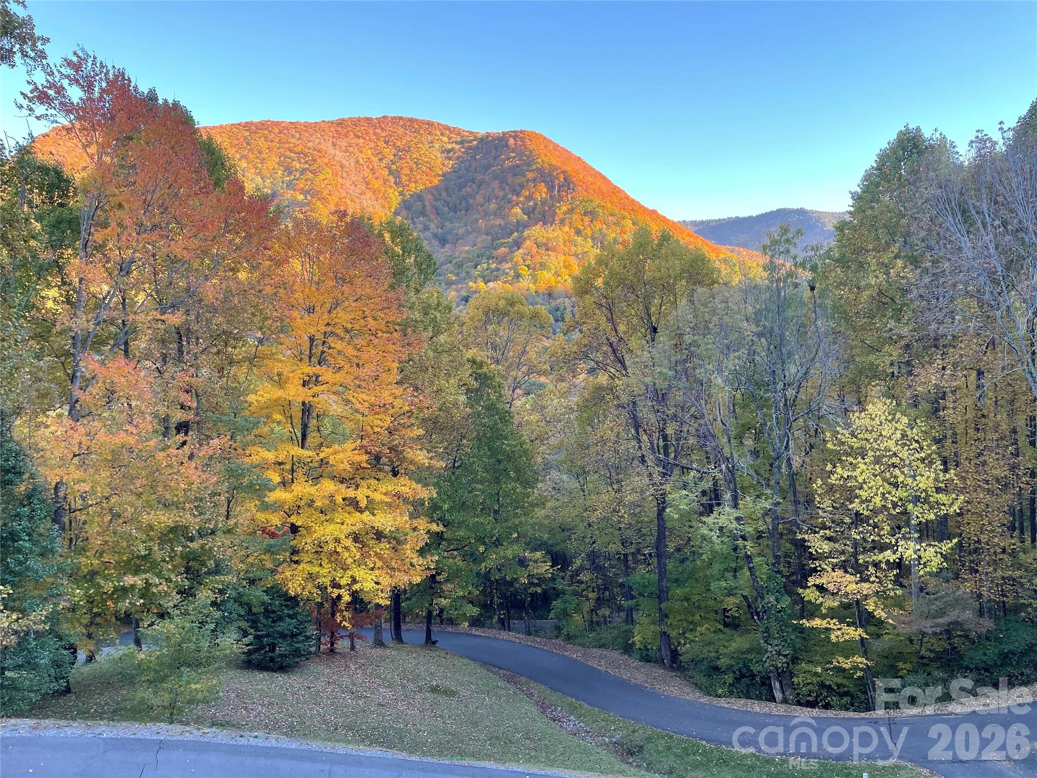 302 Davy Crockett Drive Maggie Valley NC 28751