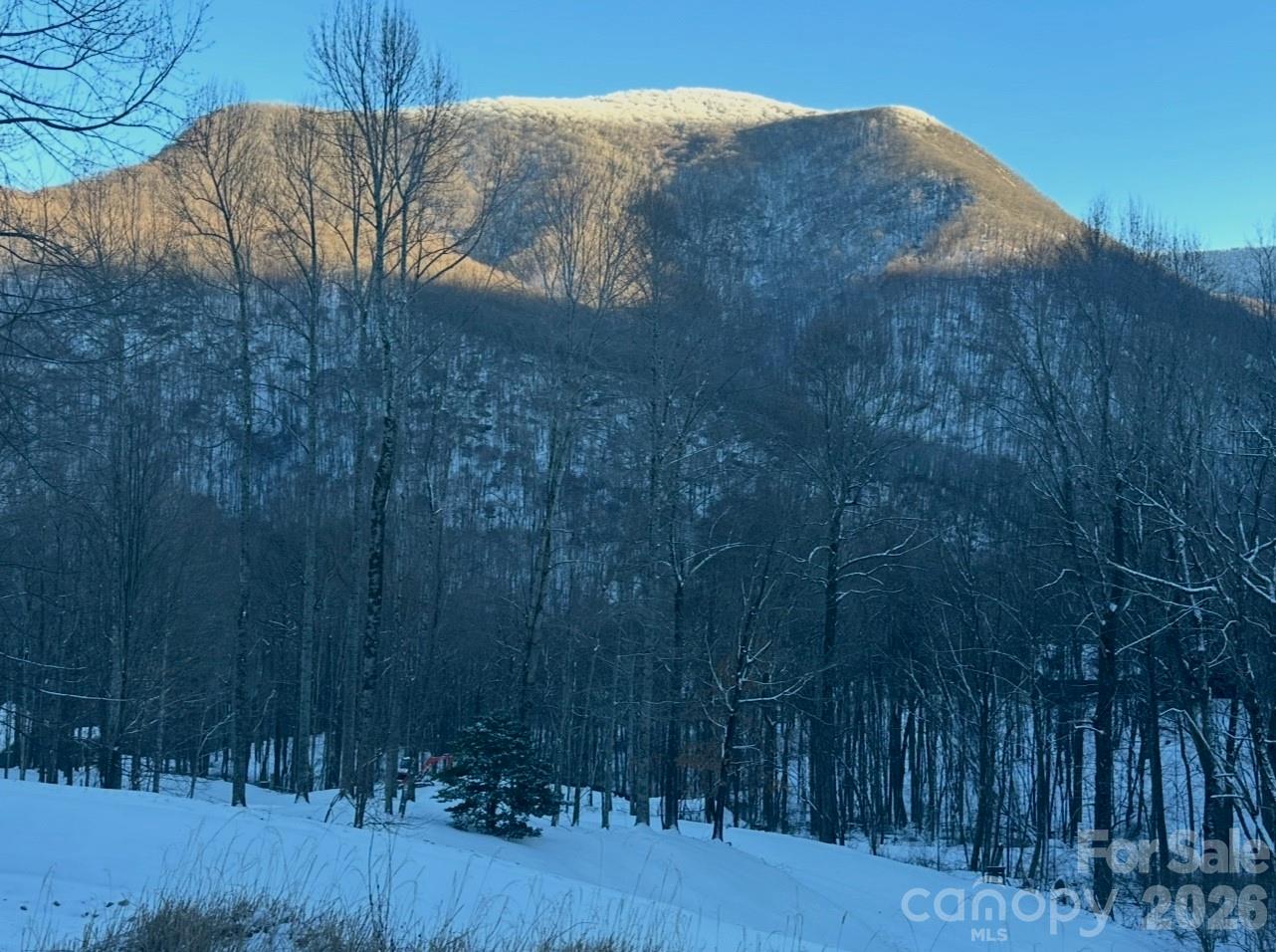 302 Davy Crockett Drive Maggie Valley NC 28751