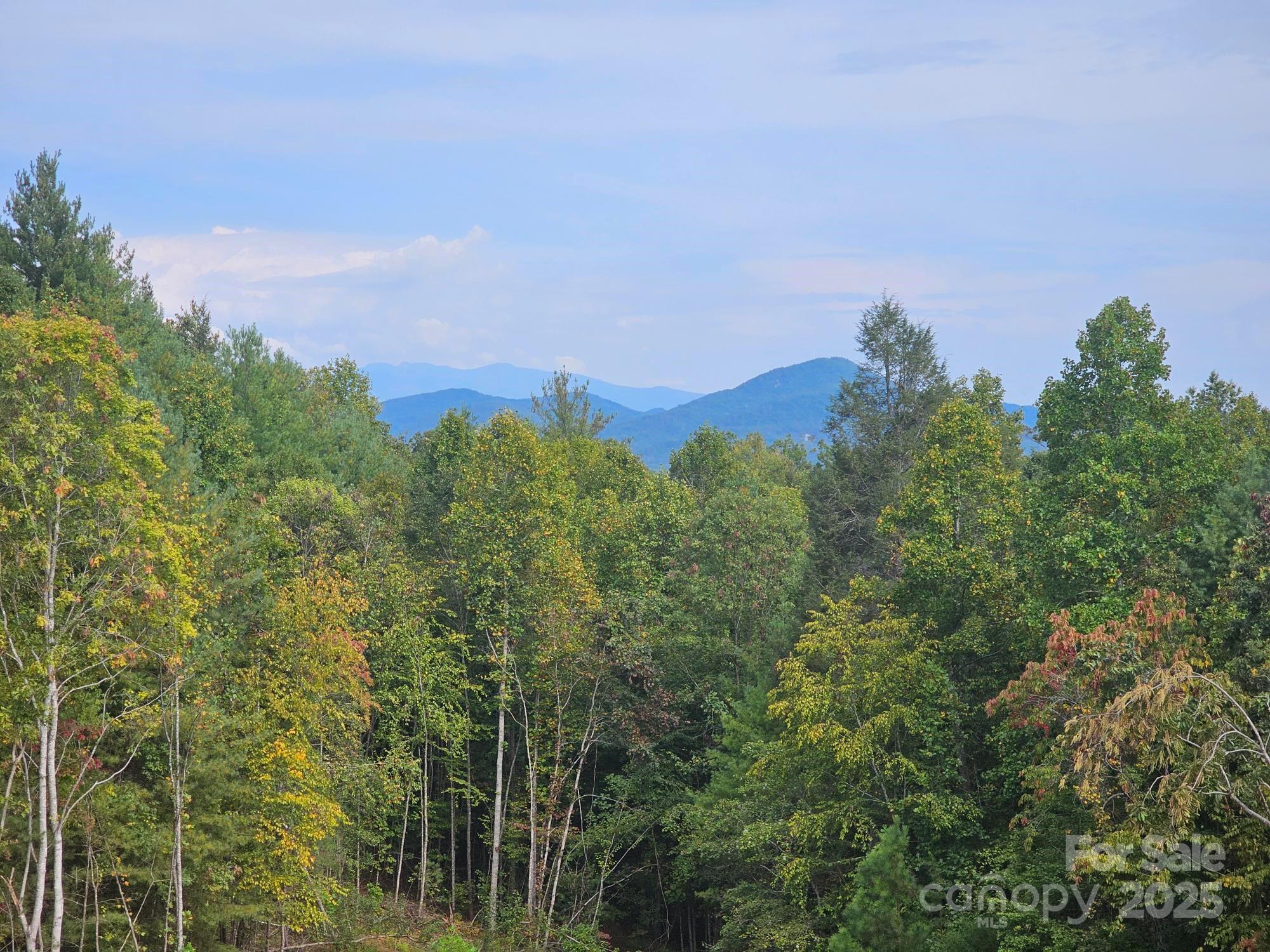 2070 Shannon Drive Morganton NC 28655