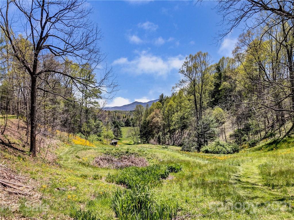 1161 Bee Branch Road Bakersville NC 28705