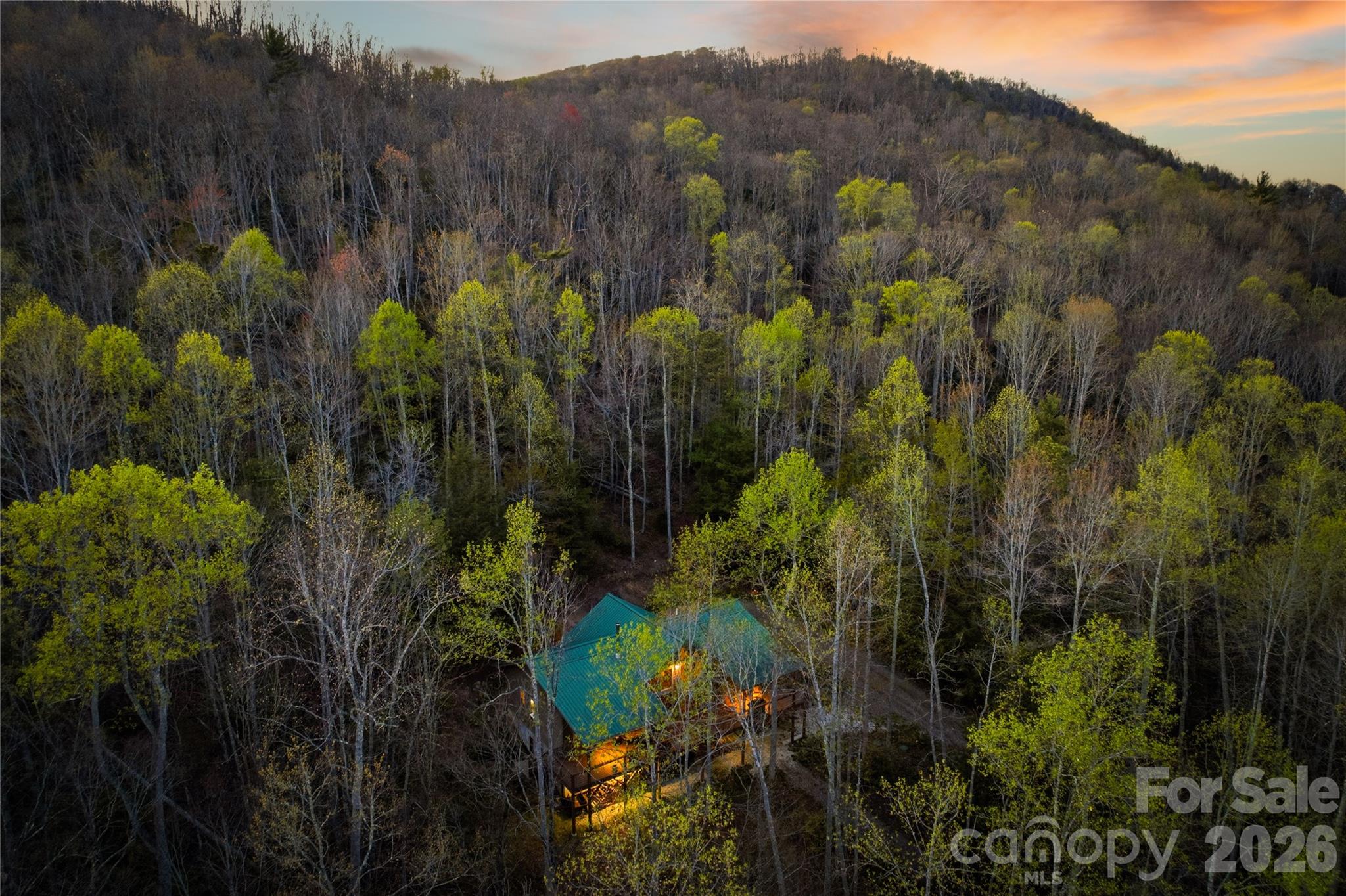 163 Bear Track Lane Vilas NC 28692