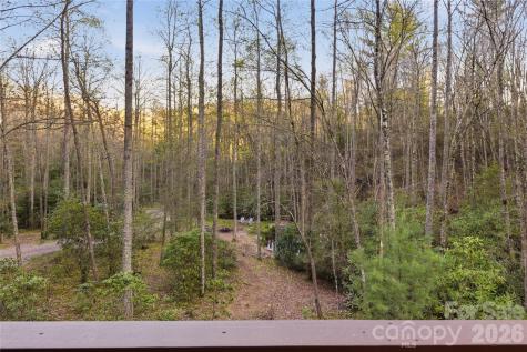163 Bear Track Lane Vilas NC 28692